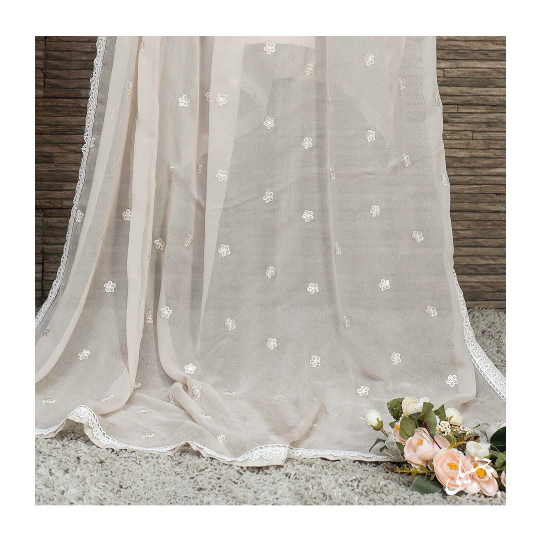 Chambeli Serenity: Embellished Cotton Net Dress with Chiffon Dupatta